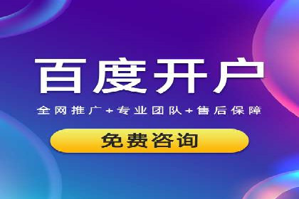 SEM推广实战：案例解析与策略探讨